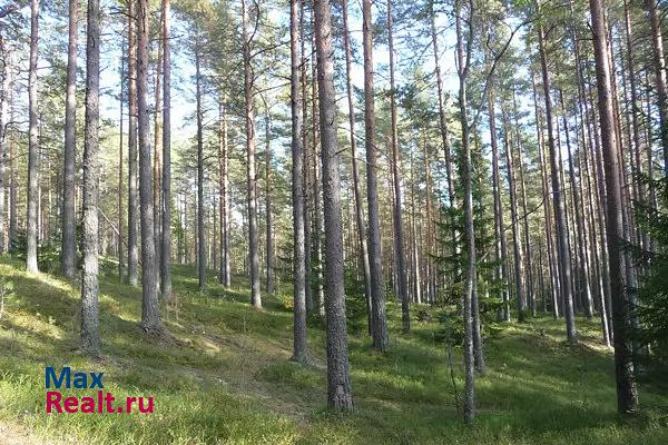 купить частный дом Сертолово Заозёрное СНТ