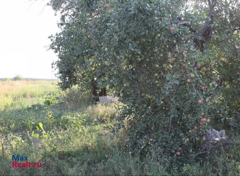 Рыбное деревня Высокое частные дома