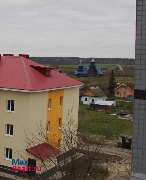 Приозерск деревня Красноозёрное, Школьная улица, 7 квартира купить без посредников