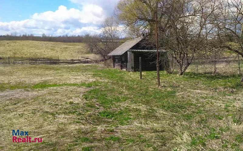 Удомля деревня Бирюльки