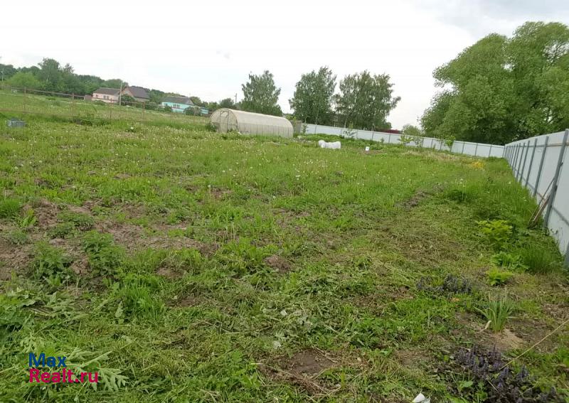 Суздаль село Цибеево частные дома