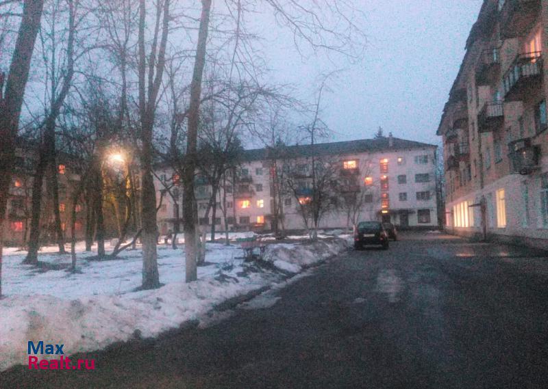 Сланцевское городское поселение, посёлок Большие Лучки, улица Жуковского, 6Б Сланцы квартира