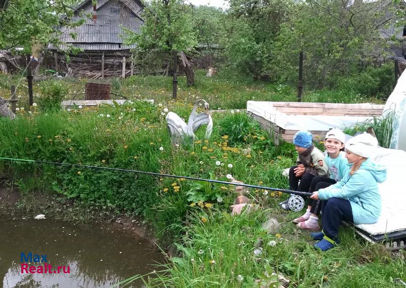 Сланцы Сланцевское городское поселение, посёлок Большие Лучки, Загородная улица дом