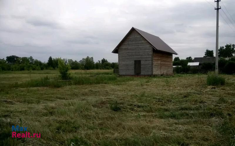 Котовск село Царёвка дом