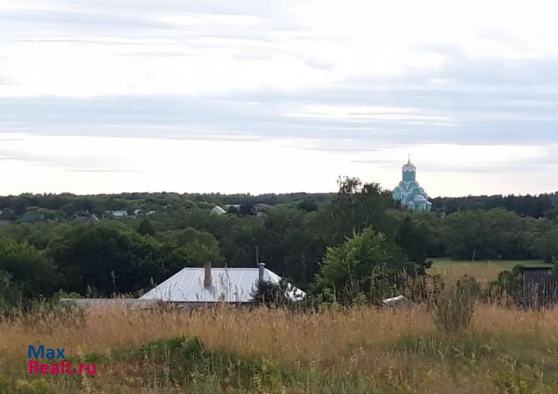 Котовск село Большая Липовица, улица Бугрянка продажа частного дома