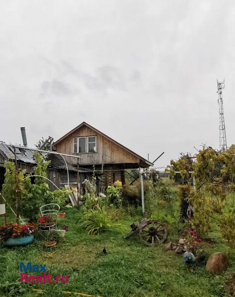 Лысково село Красный Оселок, улица Черёмушки