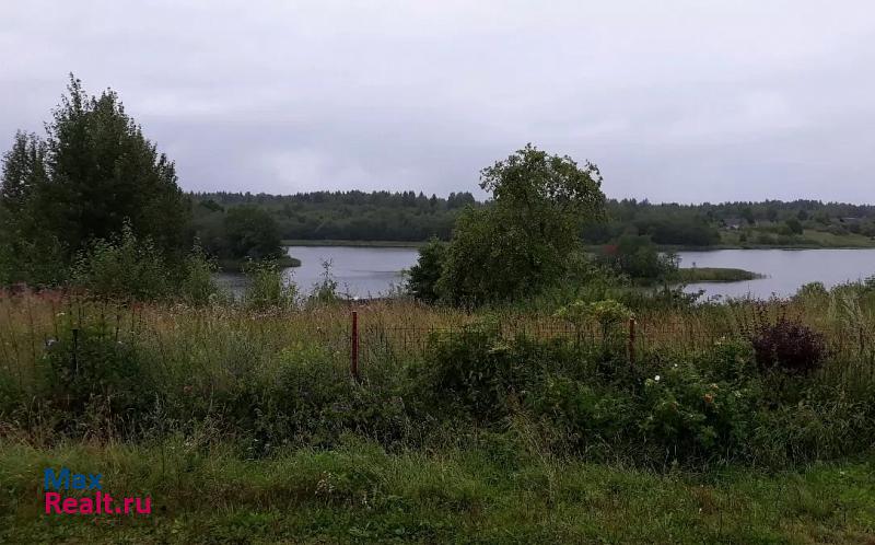 Бологое Удомельский городской округ, деревня Большая Званица частные дома