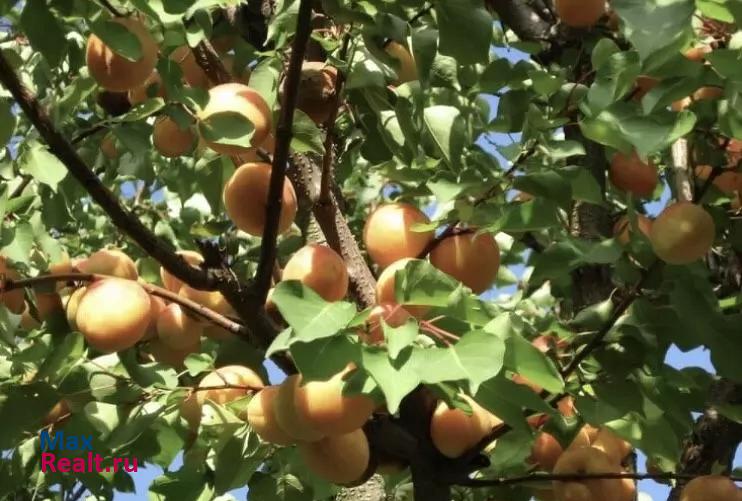 купить частный дом Нарткала Кабардино-Балкарская Республика, городское поселение Нарткала