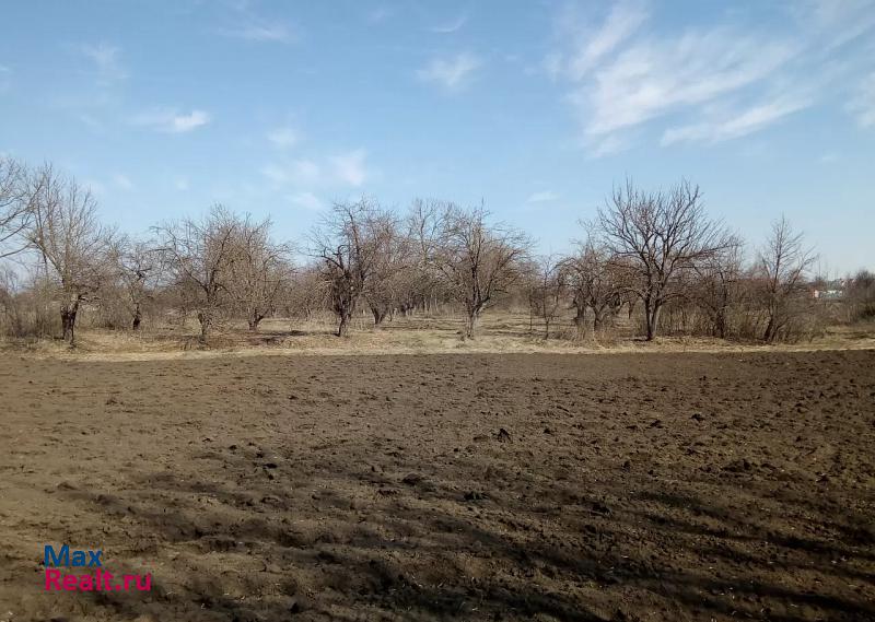 Семилуки Семилукский район, село Губарево