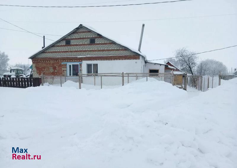 купить частный дом Каменка село Соболевка