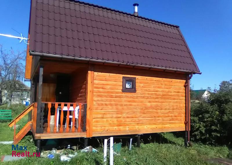 Ликино-Дулево городской округ Ликино-Дулёво, деревня Сальково