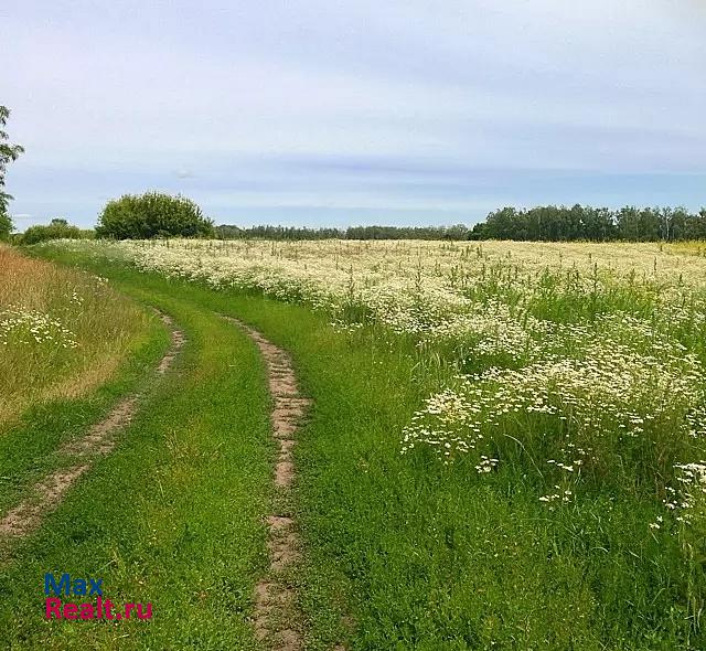 Кимовск Рязанская область, Скопинский район, село Петрушино (Горловское поселение) продажа частного дома