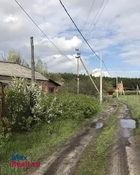 Новая Усмань Новоусманский район, село Рыкань частные дома