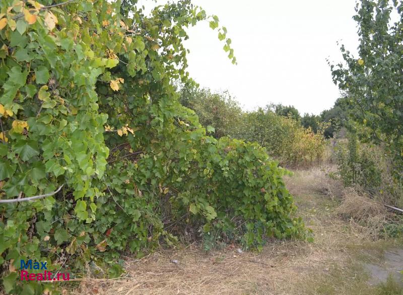 Новая Усмань село Рыкань, Центральная улица частные дома