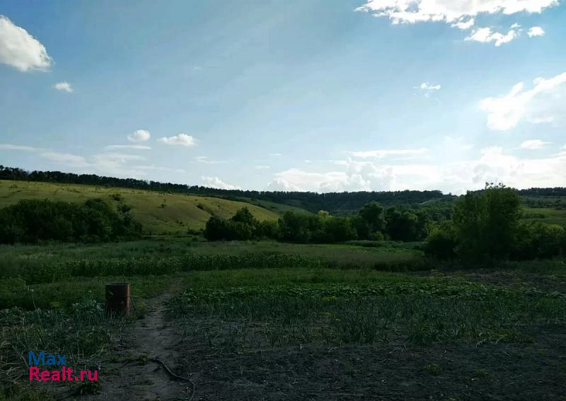 Павловск Подгоренский район, село Семейка, Центральная улица