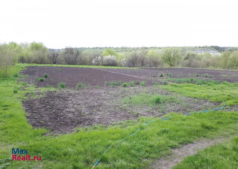 Калач Калачеевский район, село Ильинка частные дома