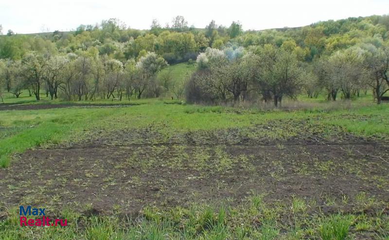 Калач Манинское сельское поселение, село Манино, Садовая улица, 29 дом