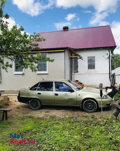 Старая Русса городское поселение город Старая Русса, деревня Дубовицы, Старорусская улица частные дома