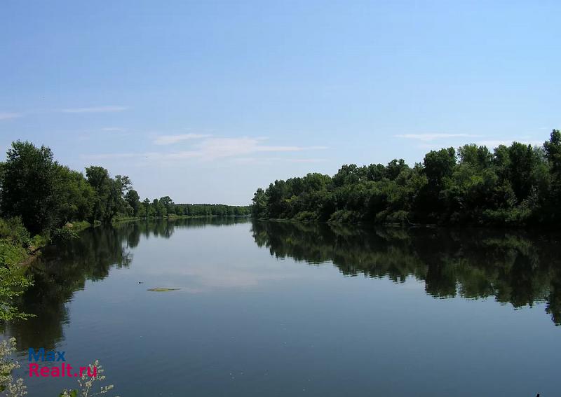 Пугачев село Большая Таволожка дом