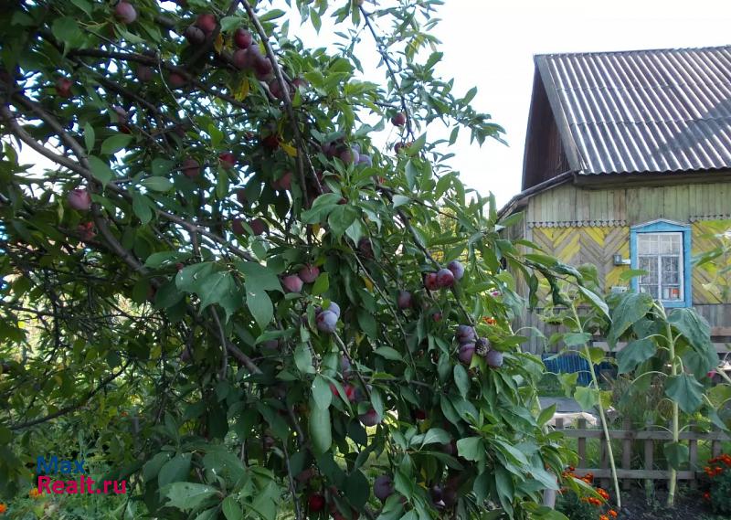 Осинники улица Свердлова