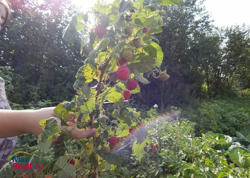 Заринск село Гришино продажа частного дома