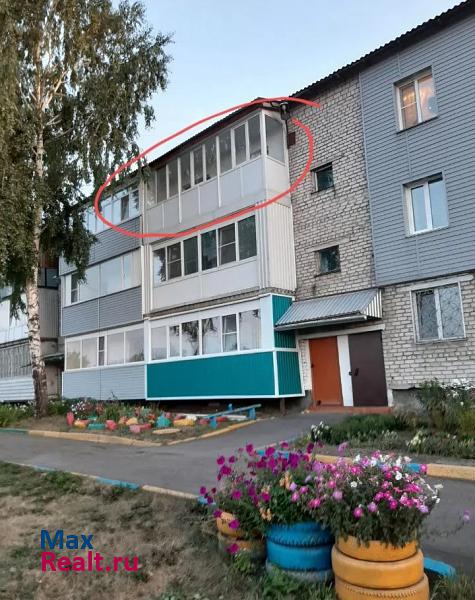 городское поселение Камень-на-Оби, Томская улица, 121 Камень-на-Оби квартира