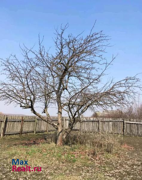 Сасово Пителинское городское поселение, поселок городского типа Пителино, Советская улица, 99 дом