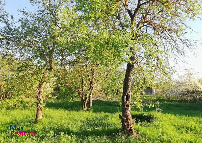 Сасово село Юрьево, улица Дмитрия Кокорева