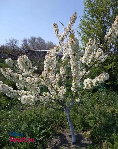 Джанкой Изобильненское сельское поселение, село Изобильное частные дома