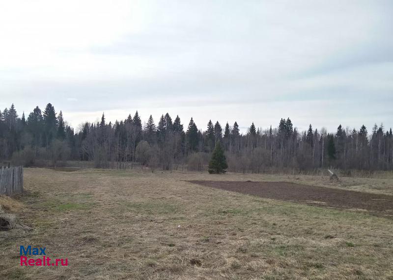 Чернушка село Тюй, Чернушинский район, Центральная улица частные дома