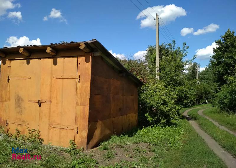 Скопин село Клекотки, Раевская улица