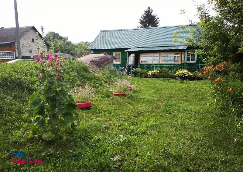 купить частный дом Скопин село Лопатино, Полевая улица, 50