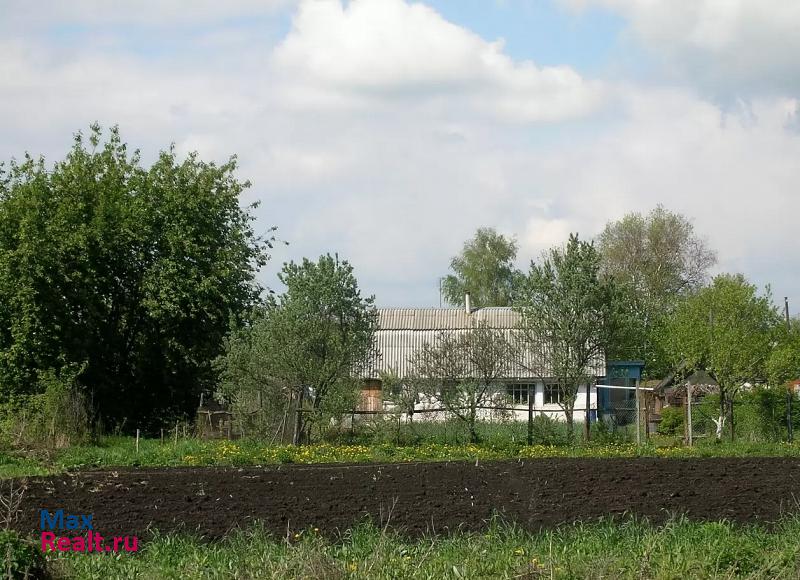 Скопин Скопинский р-н, село Шелемишево, ул. Ворошилова