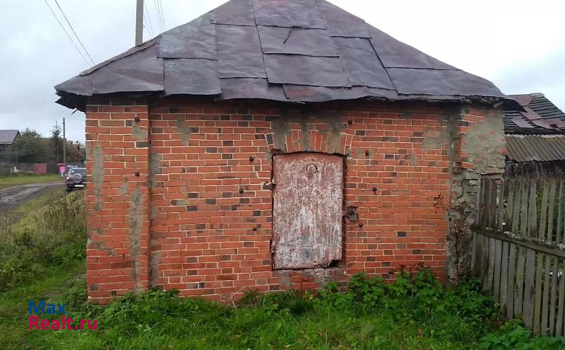 Саров городской округ Первомайск, село Кошелиха частные дома