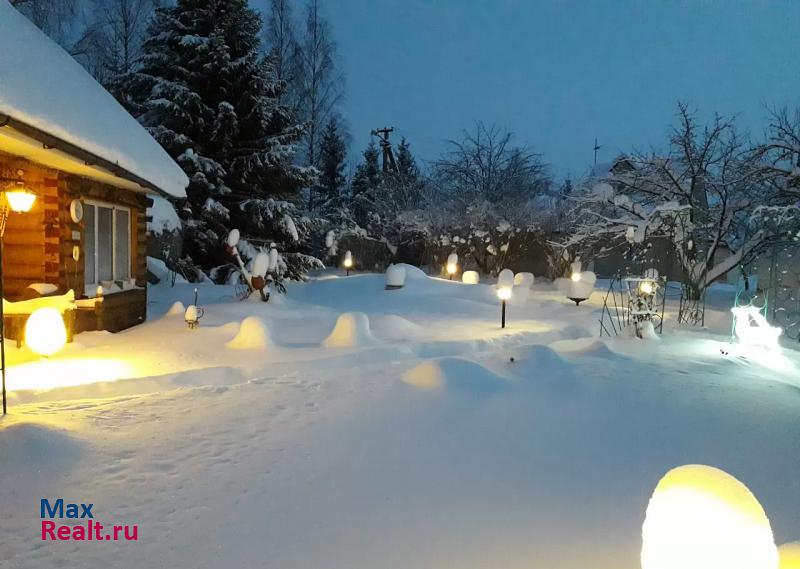 Тосно Тосненское городское поселение, деревня Еглизи частные дома