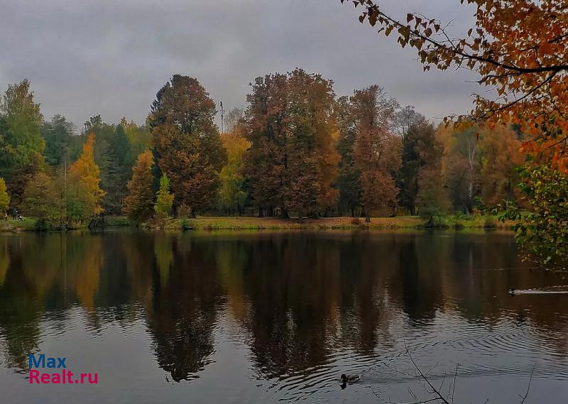 Санкт-Петербург посёлок Парголово, Заречная улица, 11к2 квартира купить без посредников