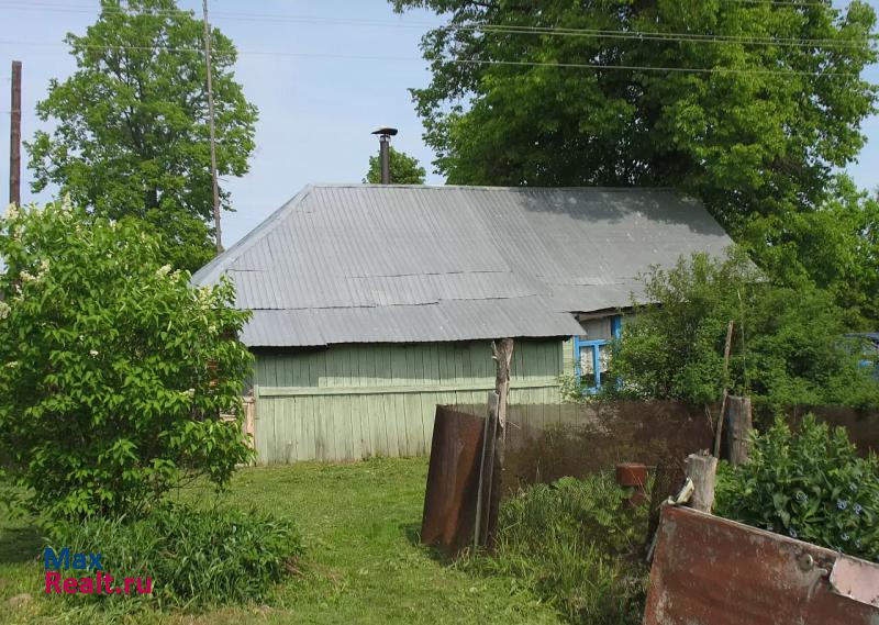 Богородск деревня Куликово, улица Большое Куликово, 49 дом