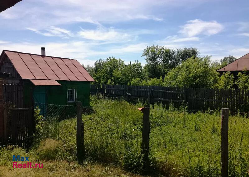 Рассказово село Нижнеспасское, Рассказовский район, Рассказовская улица частные дома