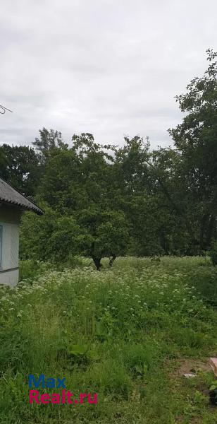 Луга Дзержинское сельское поселение, деревня Новое Село-2, Луговая улица