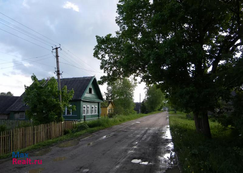 Луга Батецкий район, Новгородская область, деревня Раджа