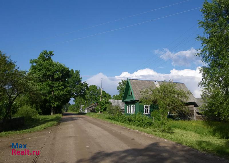 Луга Батецкий район, Новгородская область, деревня Раджа частные дома