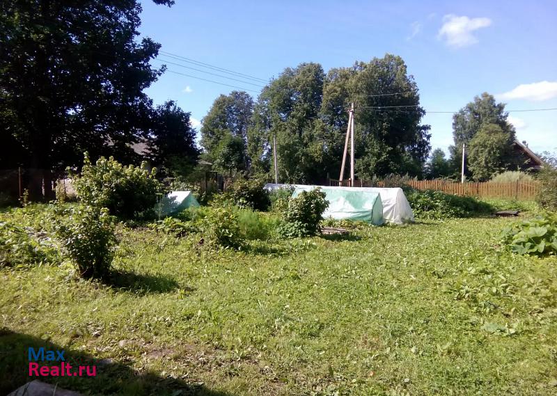 Луга Новгородская область, деревня Большая Удрая