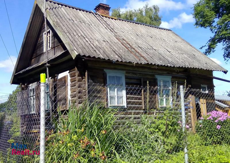 Луга Новгородская область, деревня Большая Удрая частные дома