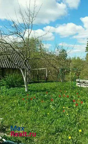 Луга Лужский р-н д.Шильцево дом