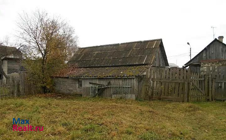 Новозыбков село Замишево, Новозыбковская улица, 50 частные дома