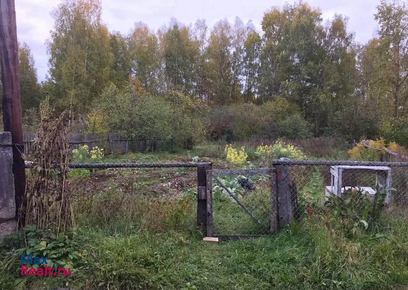 Городец деревня Коробейниково