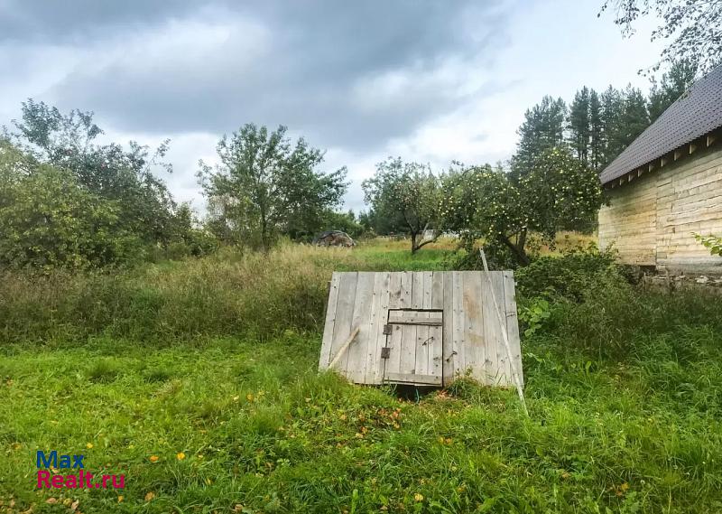 Боровичи деревня Папорть дом