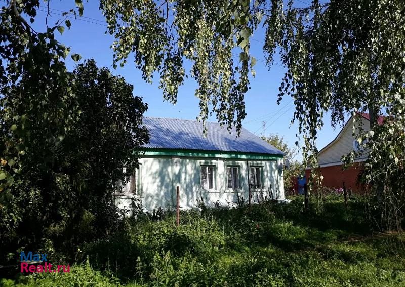 Луховицы городской округ Луховицы, село Городна, Центральная улица, 9