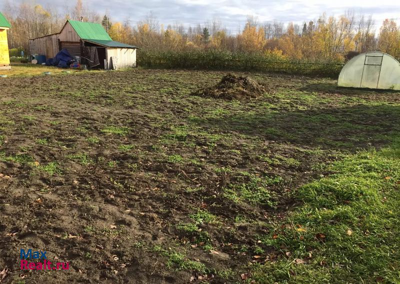 Стрежевой городской округ Стрежевой дом