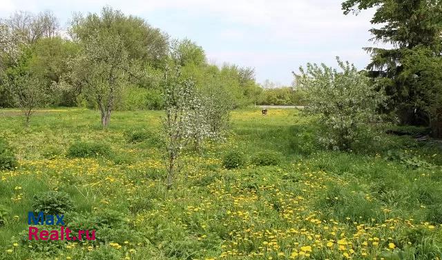 Ливны деревня Здоровецкие Выселки, Центральная улица, 9 частные дома